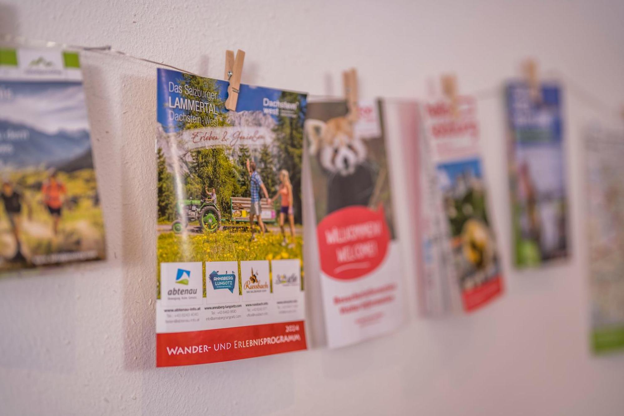 Ferienwohnung Andexlinger Abtenau Εξωτερικό φωτογραφία
